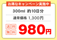 特別価格980円